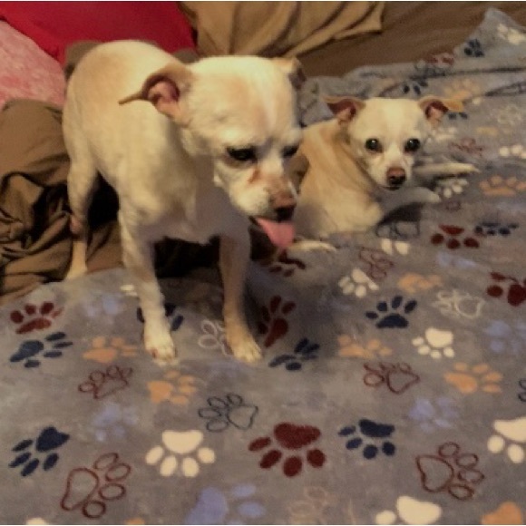 Meet your Posher, Tina - Picture 8 of 15